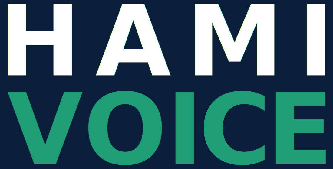 HAMI Voice